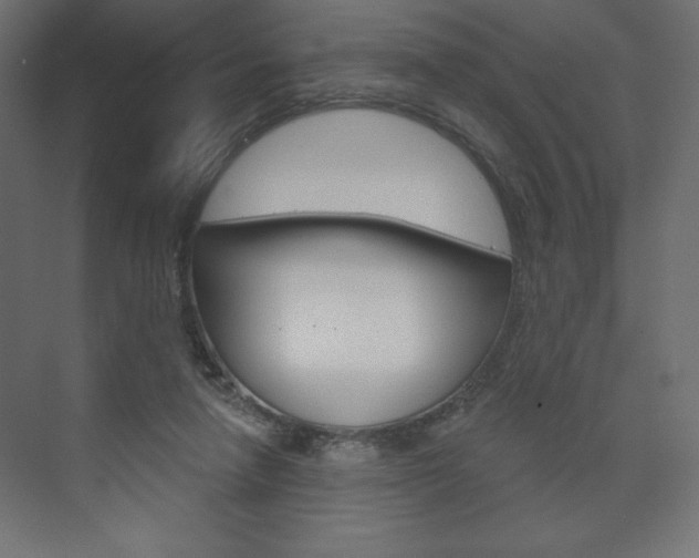 X0000073990258200608211049