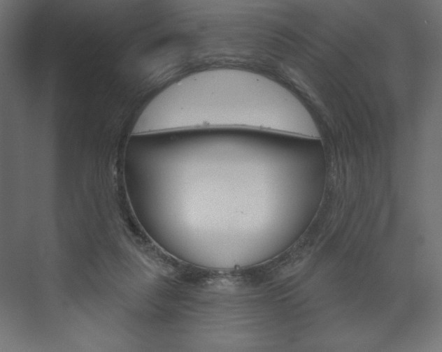 X0000073990259200608211049