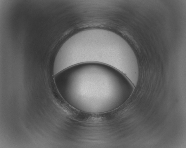 X0000073990260200608211049