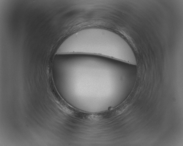 X0000073990261200608211049