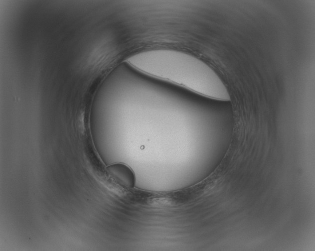 X0000073990262200608211049