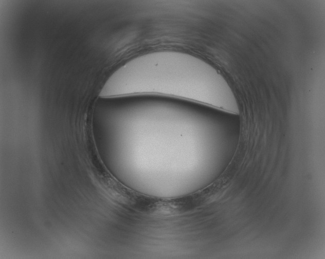 X0000073990263200608211049