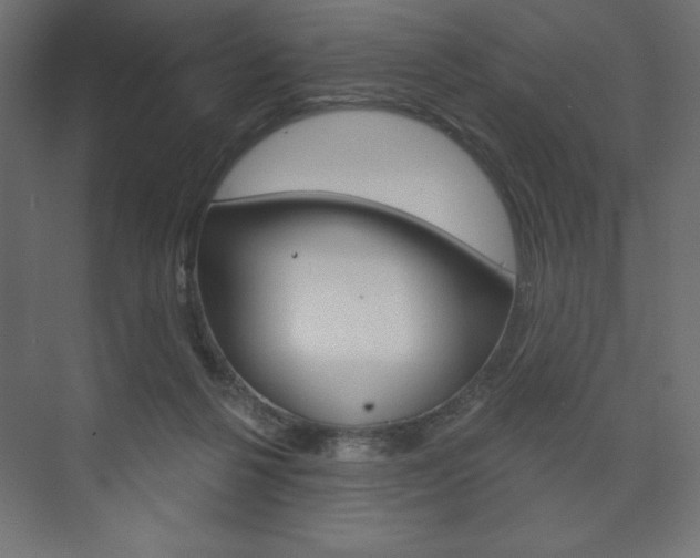 X0000073990264200608211049