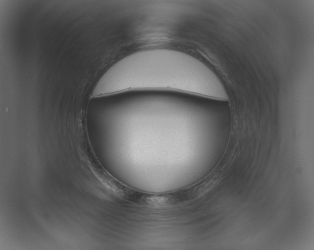 X0000073990265200608211049