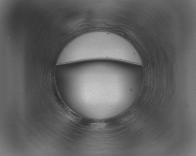 X0000073990266200608211049