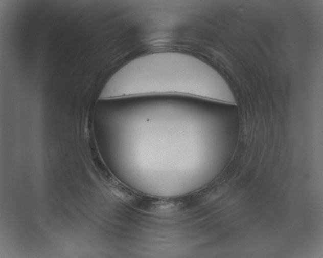 X0000073990267200608211049