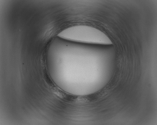 X0000073990270200608211049