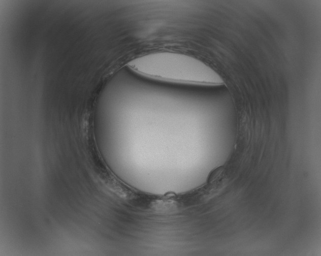 X0000073990271200608211049