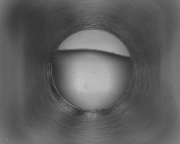 X0000073990272200608211049