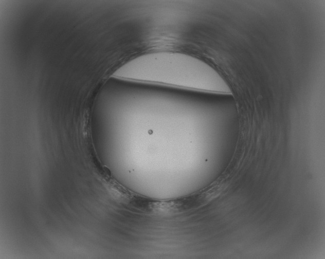 X0000073990273200608211049