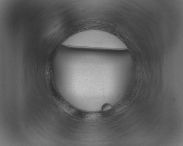 X0000073990274200608211050