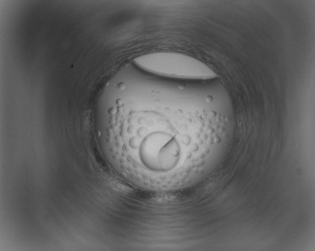 X0000073990278200608211050