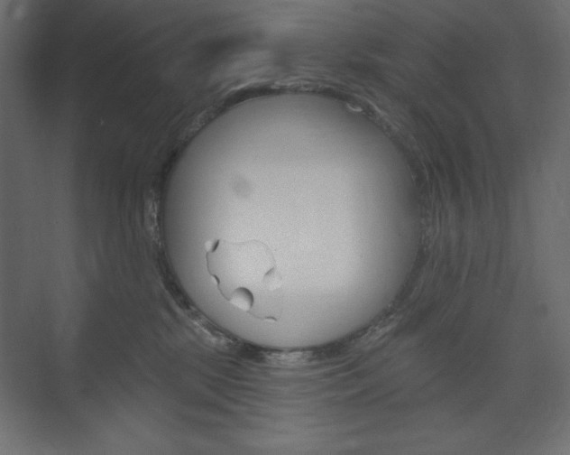 X0000073990281200608211050