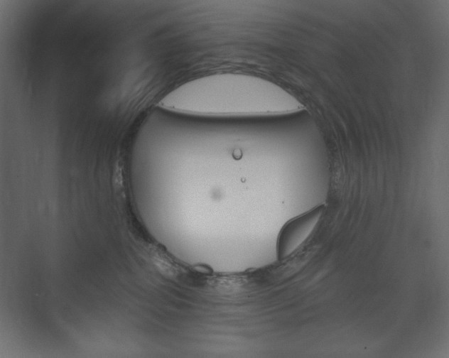 X0000073990282200608211050