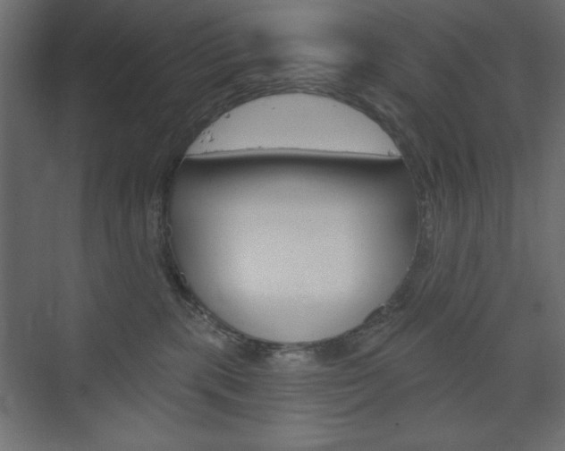 X0000073990283200608211050