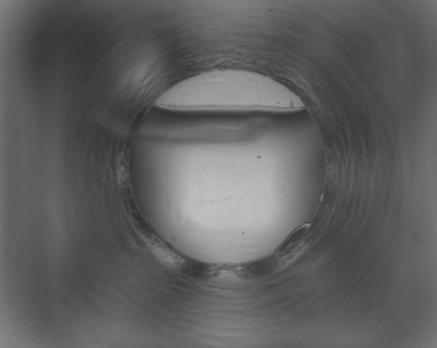 X0000073990285200608211050