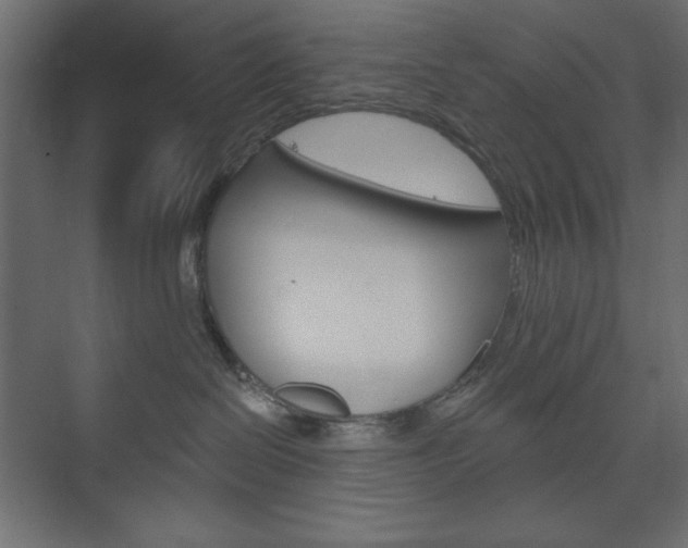 X0000073990286200608211050