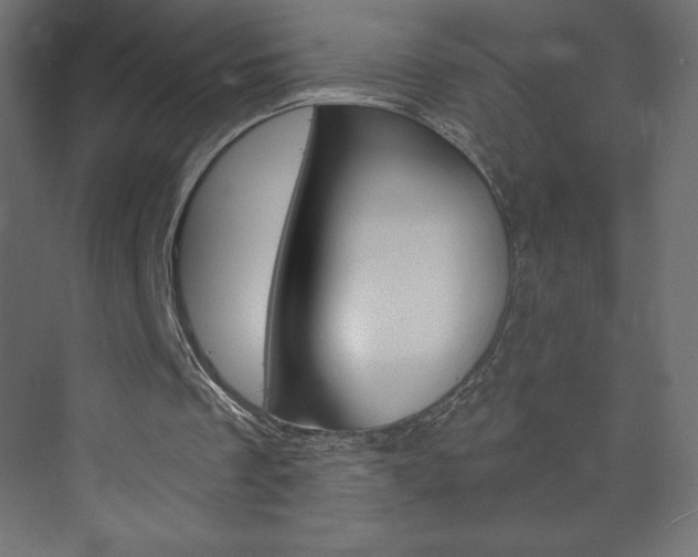 X0000073990289200608211049