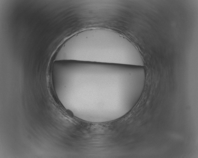 X0000073990290200608211049