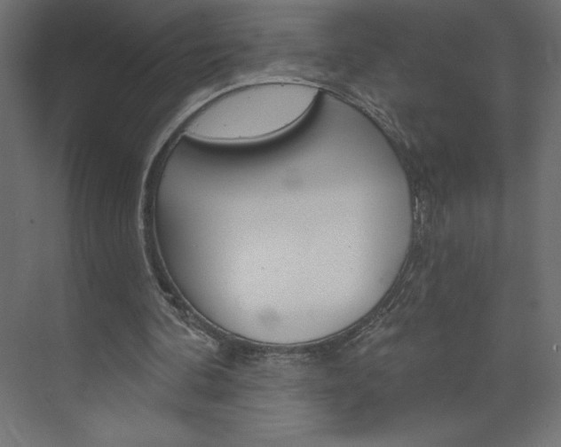 X0000073990292200608211049