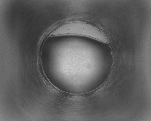 X0000073990293200608211049