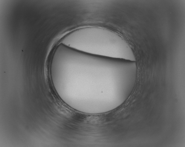 X0000073990294200608211049