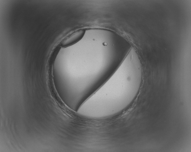 X0000073990295200608211049