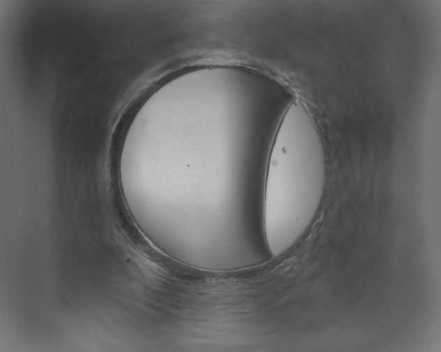 X0000073990296200608211049