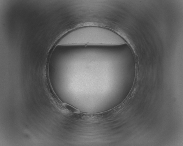 X0000073990297200608211049