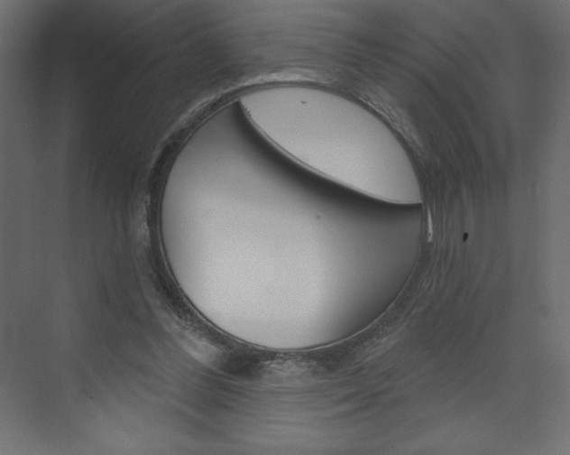 X0000073990300200608211049