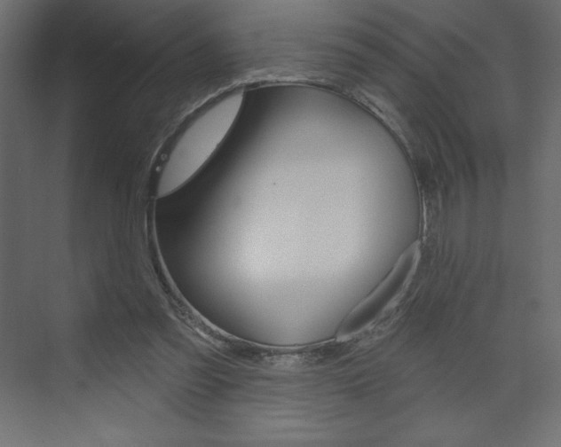 X0000073990301200608211049