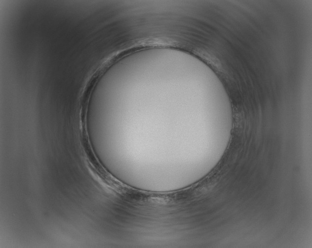 X0000073990302200608211049