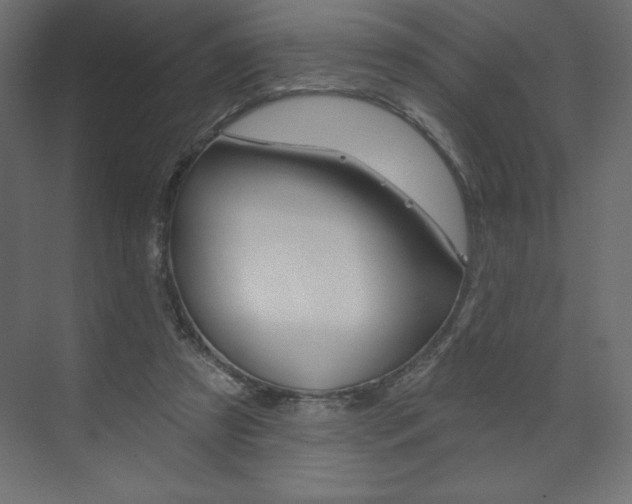 X0000073990305200608211049