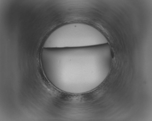 X0000073990306200608211049