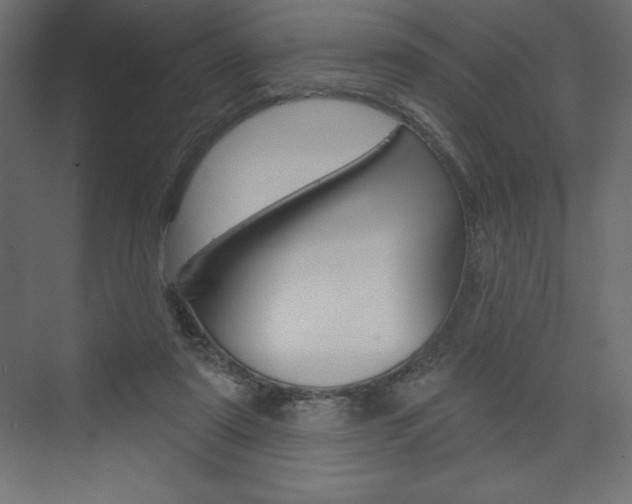 X0000073990307200608211049