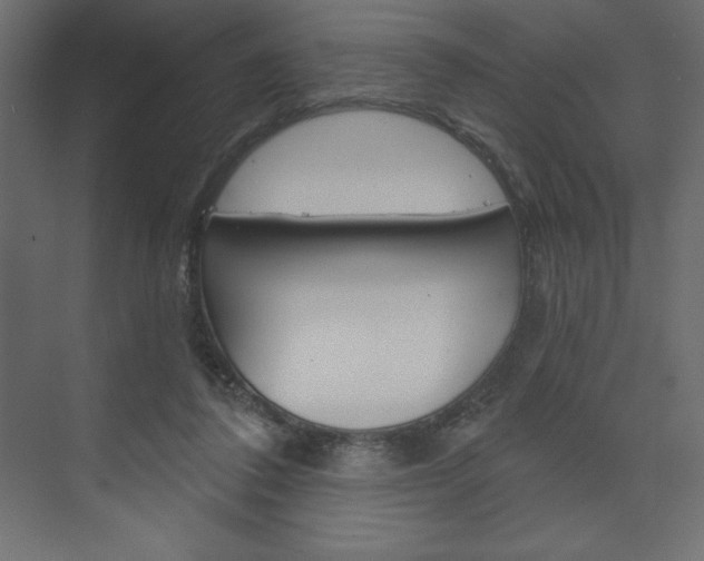 X0000073990308200608211049