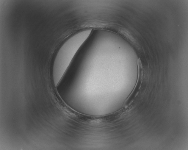 X0000073990309200608211049