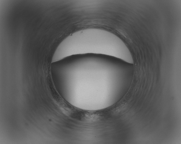 X0000073990311200608211049