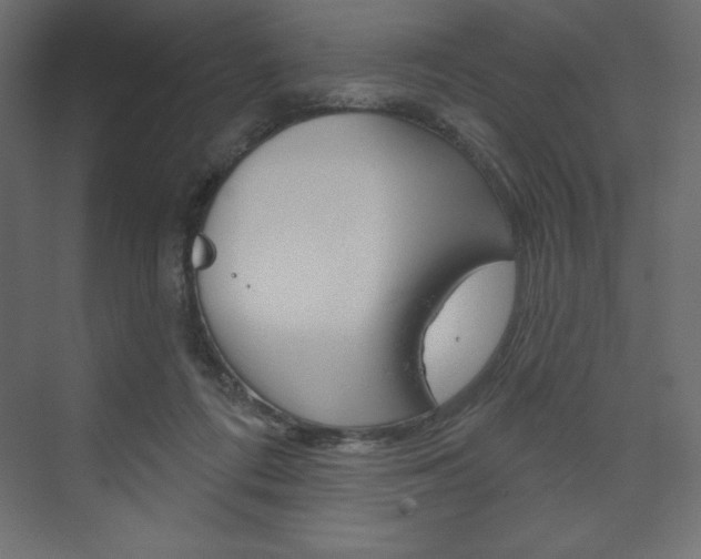 X0000073990312200608211049