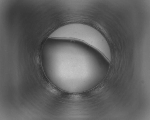 X0000073990313200608211049