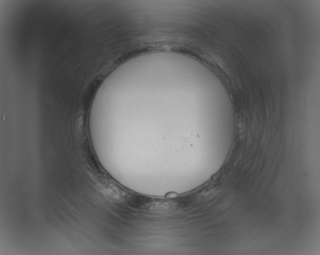 X0000073990314200608211049