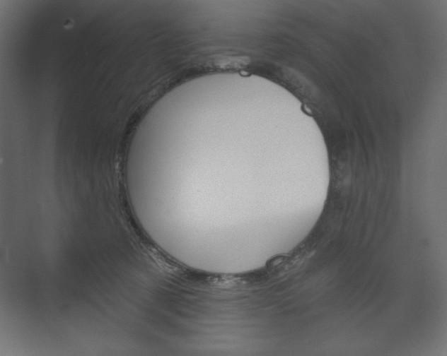 X0000073990321200608211048