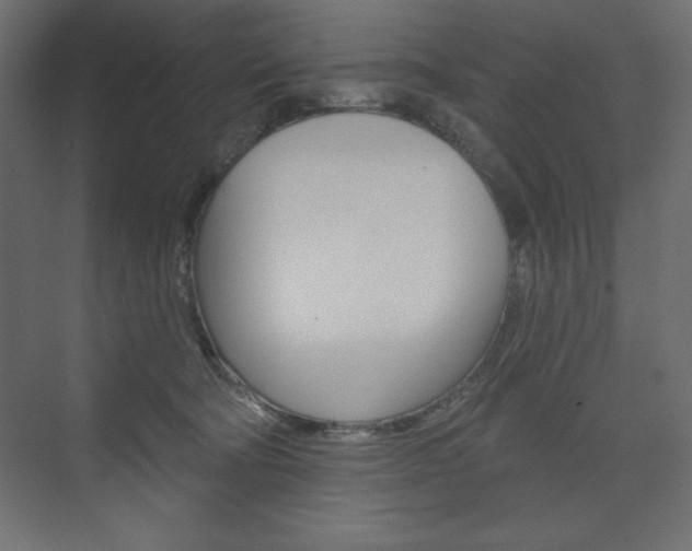 X0000073990322200608211048