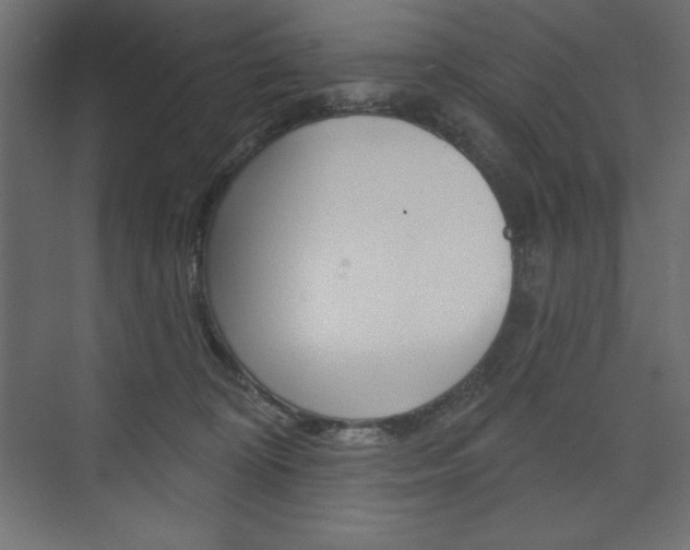 X0000073990324200608211048