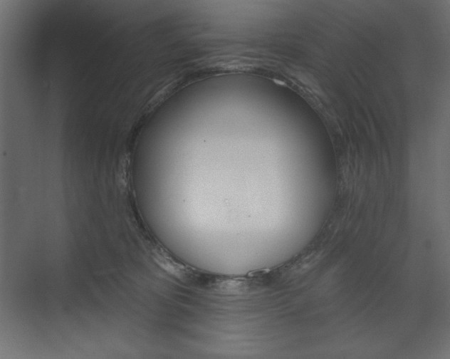 X0000073990325200608211048