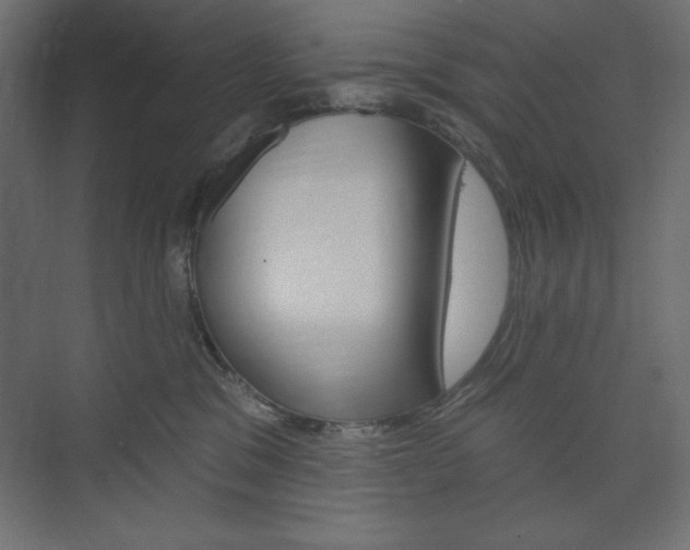 X0000073990329200608211048