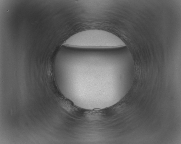 X0000073990331200608211048