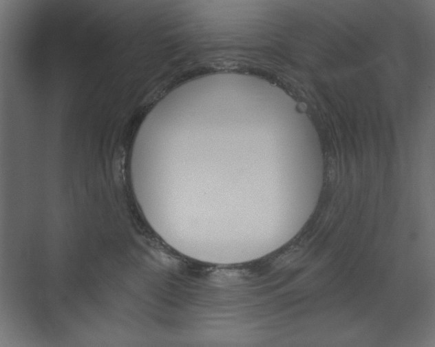 X0000073990332200608211048