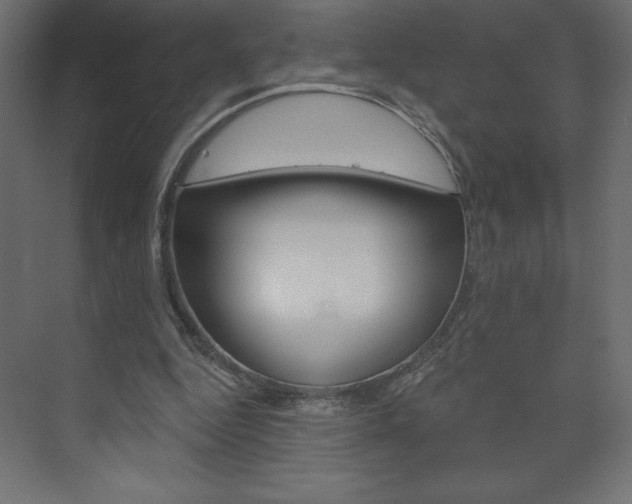 X0000073990344200608211047