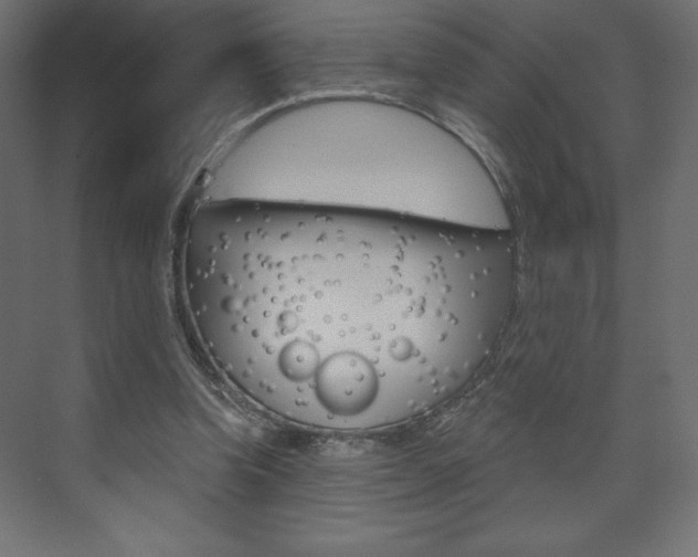 X0000073990346200608211048